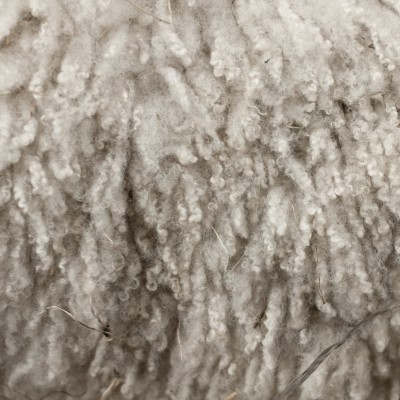 wool