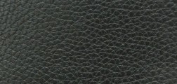 tr-1