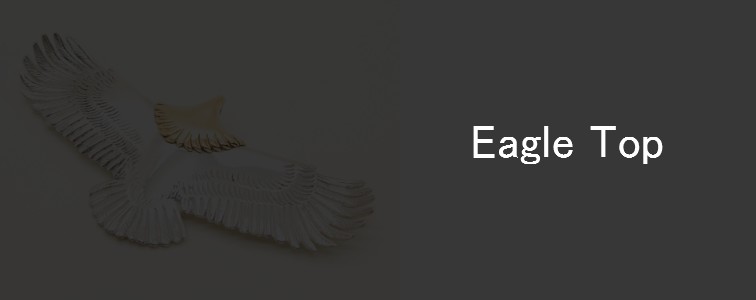 tady&king-eagle